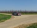 MG Openingsrit op 25-3-2012 (157)